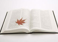 无懈可击！女足比赛再创佳绩